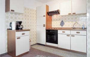 エールヴァルトにあるGorgeous Apartment In Ehrwald With Kitchenのキッチン(白いキャビネット、コンロ付)