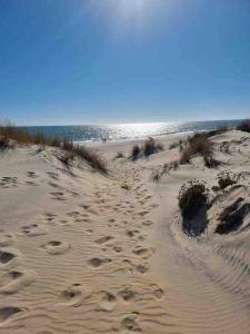 a group of footprints in the sand on a beach at Beachfront 3 Bedroom Family Apartment in Matalascañas