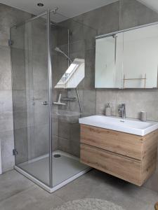 y baño con lavabo y ducha. en Ferienwohnung gemütlich modern en Langenzenn