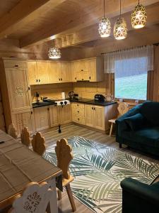 Kuchyňa alebo kuchynka v ubytovaní Apartament Jeleń Łoś Niedźwiedź