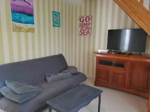 a living room with a couch and a flat screen tv at Au calme, à 250 mètres de la plage et des dunes in Ploudalmézeau