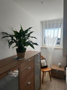 una planta sentada encima de un tocador en una habitación en Ferienwohnung gemütlich modern en Langenzenn