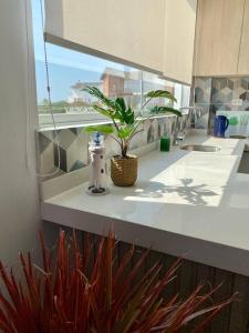 a bathroom with a sink with a plant on a counter at Hermosa casa con vista al mar in Casa Blanca