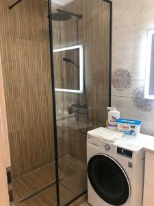 a shower with a washing machine in a bathroom at Apartament Evelyne Râșnov in Râşnov