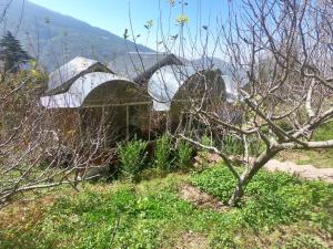 Eine weiße Brücke auf einem Feld mit einem Baum in der Unterkunft Hotel Mountaineers Saga in Narkanda