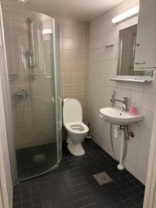 uma casa de banho com um chuveiro, um WC e um lavatório. em apartment em Lappeenranta