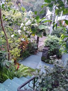 Giardino di Alex Home Stay