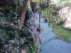 Giardino di Alex Home Stay