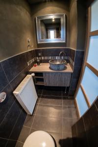 ein Bad mit einem Waschbecken und einem WC in der Unterkunft Le Cocon d'Elisadonna - Centre ville in Annecy