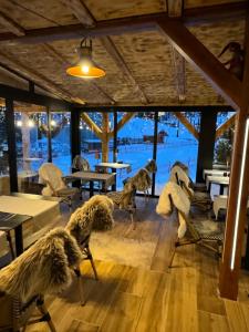 Posedenie v ubytovaní Pension & Restaurant Krakonoš