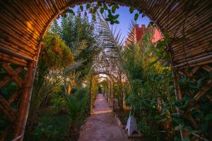 Zahrada ubytování Ecolodge Atlas Kasbah + 2 fotografie