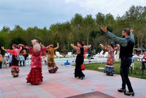 un grupo de personas bailando en un parque en Ecogarden camping with rooms en Zelarino
