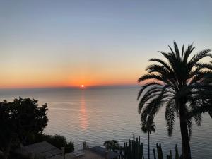 a palm tree in front of the ocean at sunset at El jardin Botánico Villa LUZ in Altea