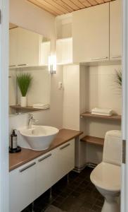 La salle de bains est pourvue d'un lavabo et de toilettes. dans l'établissement Holiday Home Ylläs Villas, à Ylläsjärvi