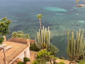 a view of the ocean from a house with a cactus at El jardin Botánico Villa LUZ in Altea