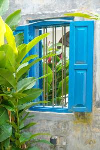 a blue window with a plant in front of it at Fort Bliss in Galle