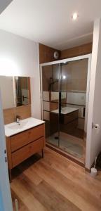 ein Bad mit einem Waschbecken und einer Dusche in der Unterkunft Appartement 2 chambres in Champdeniers
