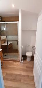 ein Bad mit einem WC und einer Glasdusche in der Unterkunft Appartement 2 chambres in Champdeniers