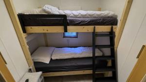 - deux lits superposés dans une petite maison dans l'établissement Chalet 205, à Laag-Soeren