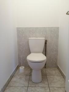 La salle de bains est pourvue de toilettes blanches. dans l'établissement Le 32, à Cognac
