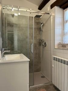 un baño con ducha y lavabo en Villa Isabella - Ruheoase, en Poreč
