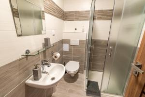 a bathroom with a toilet and a sink and a shower at Búda u Kramářů - penzion Robin in Mutěnice