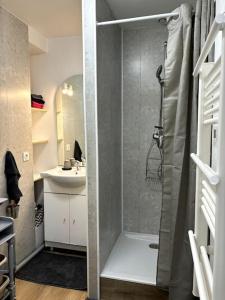 a bathroom with a shower and a sink at Cozy atmosphere near Eurexpo and Groupama Stadium, 4 personnes in Saint-Priest