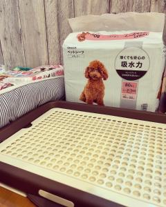 たび宿SeKKoku客房内的一张或多张床位