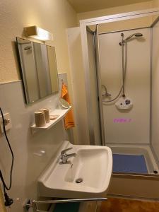 een badkamer met een wastafel en een douche met een spiegel bij Birkenstübchen in Lautenthal