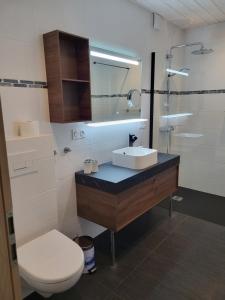 Billede fra billedgalleriet på Relais nature et randonnées i Écromagny + 8 billeder