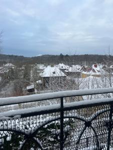 uma vista para uma aldeia coberta de neve com casas em Ewa & Maude Hotel Aston Villa em Gotemburgo