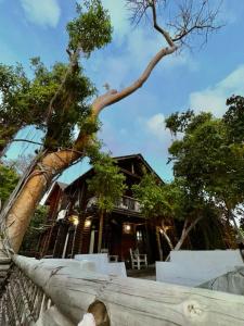 un árbol inclinado sobre una valla delante de una casa en Mistica Island Hostel - Isla Palma, en Isla Palma