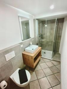 a bathroom with a toilet and a sink and a shower at Apartments Pitztaler Nachtigall in Arzl im Pitztal