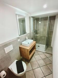 ein Bad mit einem WC, einem Waschbecken und einer Dusche in der Unterkunft Apartments Pitztaler Nachtigall in Arzl im Pitztal