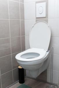 La salle de bains est pourvue de toilettes blanches. dans l'établissement MIAMI APPARTEMENT, à Lyon