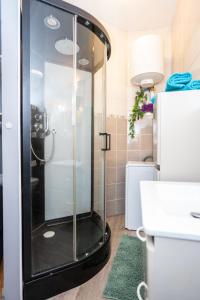 La salle de bains est pourvue d'une douche avec une porte en verre. dans l'établissement MIAMI APPARTEMENT, à Lyon