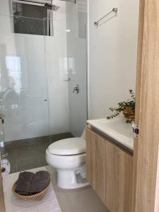 ein Bad mit einem WC, einer Dusche und einem Waschbecken in der Unterkunft !Nuevo, Lujoso y vista al mar ! in Cartagena de Indias