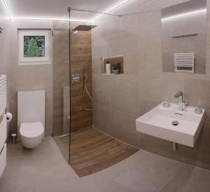a bathroom with a toilet and a sink and a shower at Appartement Flora in Saas-Almagell