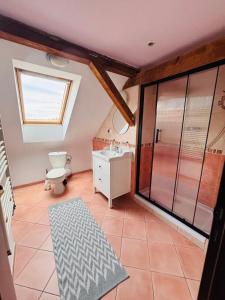 a bathroom with a toilet and a sink at Willa Pod Wieżami in Karpacz