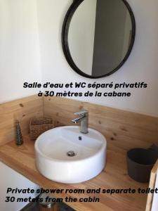 a bathroom with a sink and a mirror at Cabane Aligoté in Saint-Albain