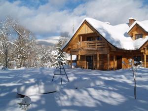 a log cabin in the snow with a snow covered yard at Biesówka in Wetlina