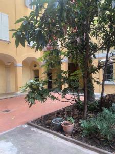 un arbre dans une cour à côté d'un bâtiment dans l'établissement Casa Ortelia: apartment in a historic building, à Bologne