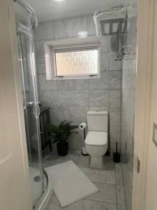 a bathroom with a toilet and a window and a shower at Newly refurbished apartment, near station & river in London