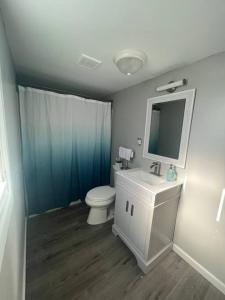 ein Badezimmer mit einem WC, einem Waschbecken und einem Spiegel in der Unterkunft Modern Downtown Gem - Close to Beach - Yard - Pkg! in Port Austin