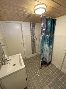 uma casa de banho com uma cortina de chuveiro e um lavatório em Lake view apartment, Espoo em Espoo