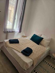 um quarto com uma cama com duas almofadas azuis em Charmant P3 en centre ville em Nîmes