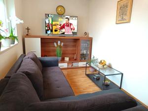 a living room with a couch and a tv at Cozy apartment near the center in Novi Vinodolski