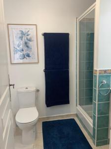 a bathroom with a toilet and a shower and a blue towel at Suite dans un petit paradis in La Londe-les-Maures