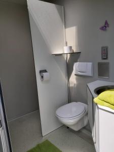 bagno bianco con servizi igienici e lavandino di Ecochique a Westouter