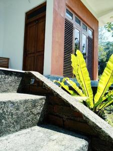 a plant in front of a house with a door at Thammenna Eco Cabins in Dambulla
